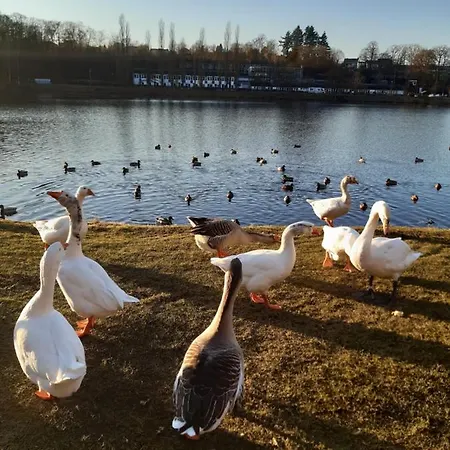 Appartement Au Flonalia Vielsalm