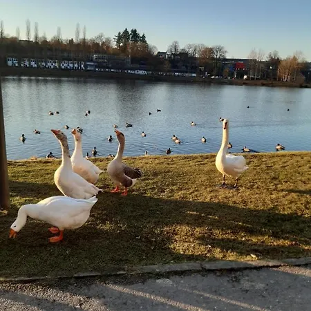 Au Flonalia Apartmán *